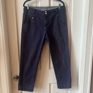 Banana Republic Distressed Navy Ankle Chino Pants